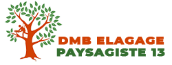 elagage-dmb-elagage-paysagiste